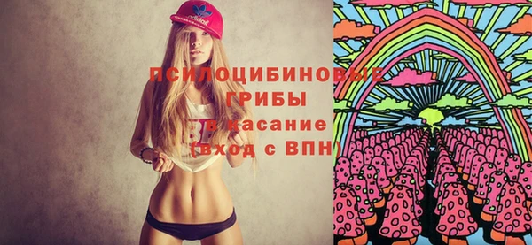 сатива Бронницы