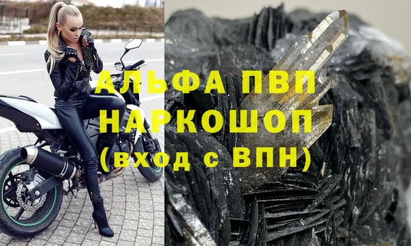 ешки Богданович