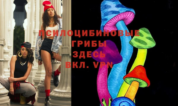 прущие грибы Богородицк