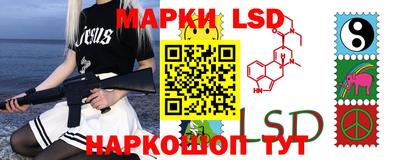 молекула духа Берёзовский