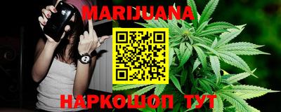 сатива Беслан