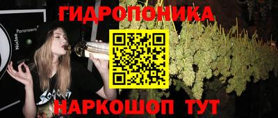 скорость Бийск