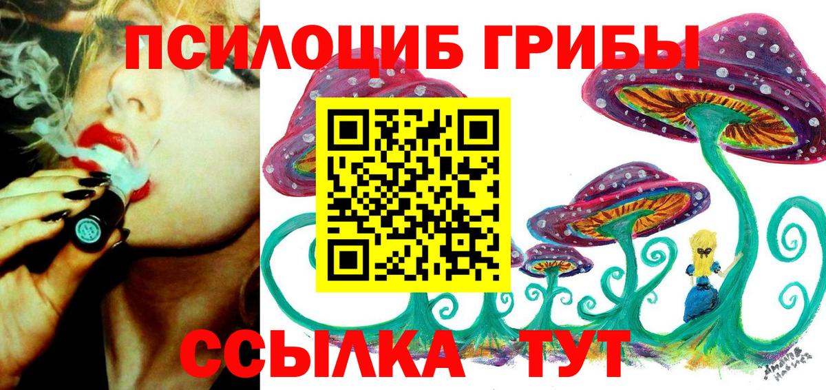 Псилоцибиновые грибы Psilocybine cubensis  хочу   Гудермес  Вход с VPN 