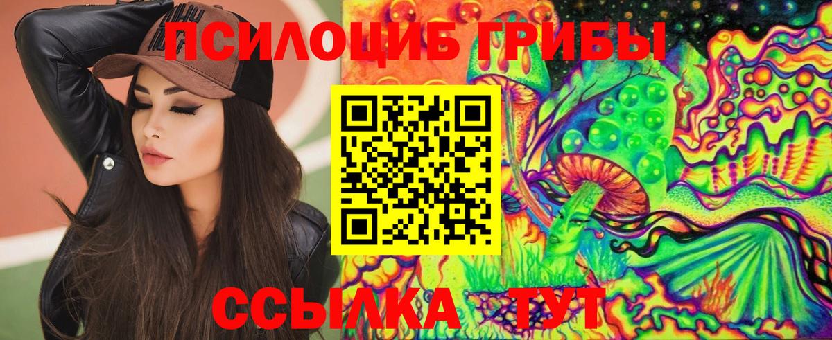 Псилоцибиновые грибы Psilocybine cubensis Гудермес