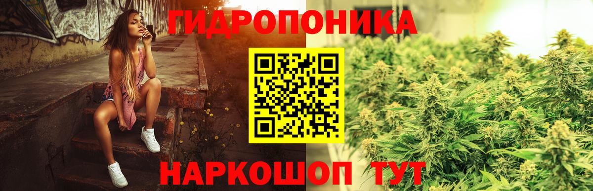 МАРИХУАНА Amnesia Гудермес